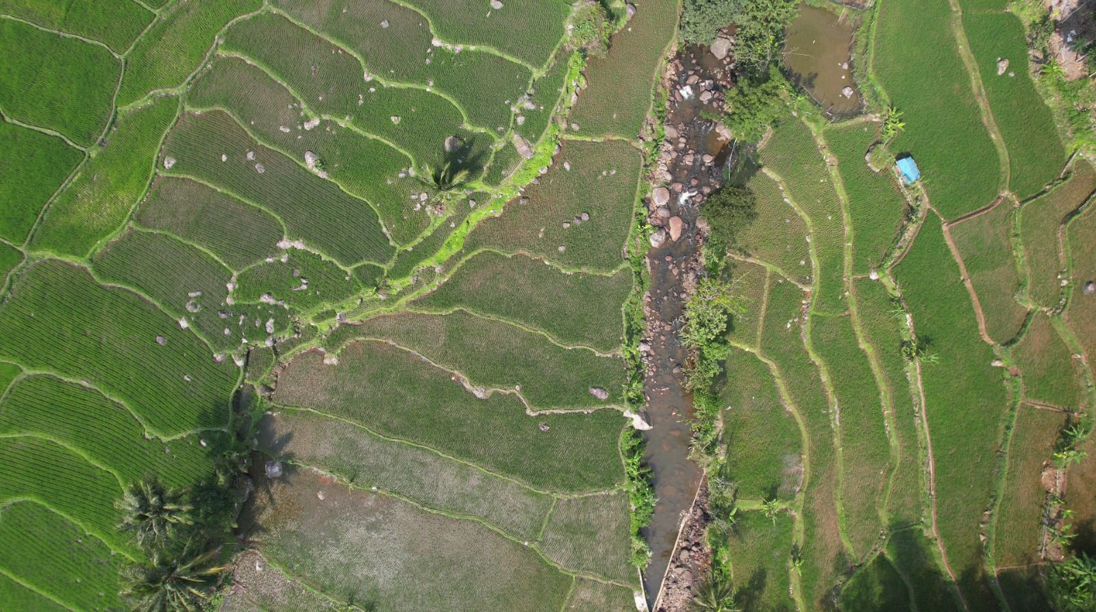 Pembangunan Harus Berkeadilan, Menteri Nusron : Reforma Agraria Jawab Ketimpangan Penguasaan dan Pemilikan Tanah